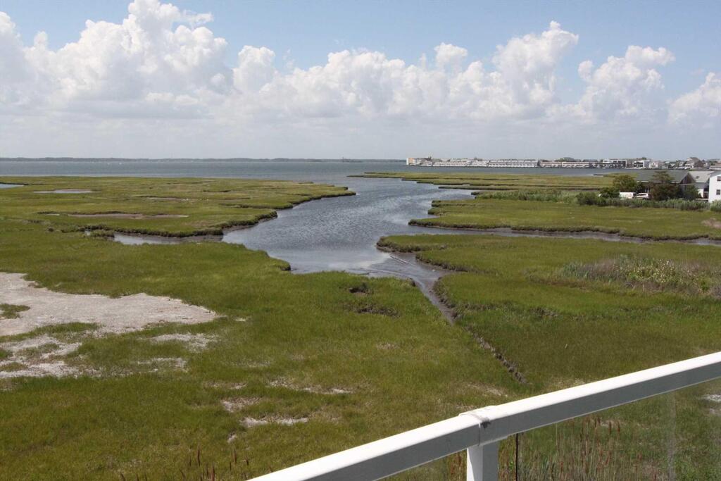 203 Coral Seas - thumb 0