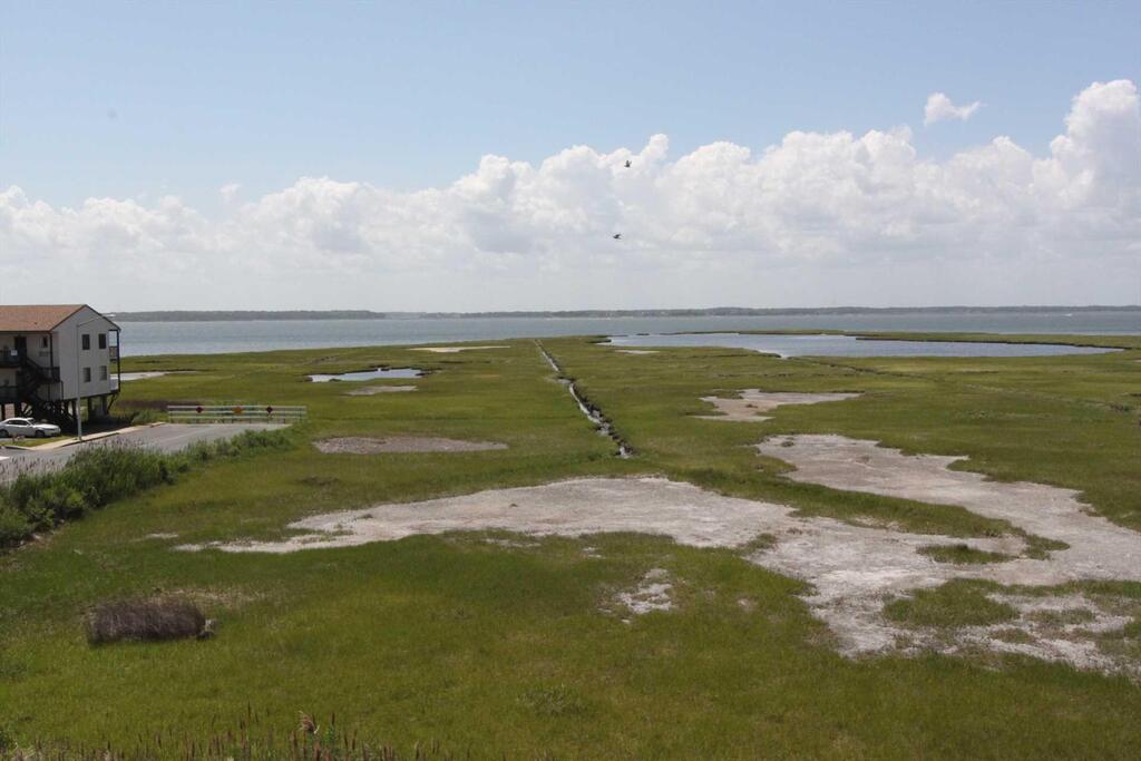 203 Coral Seas - thumb 1