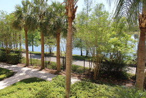 205 - Disney, Universal, Convention Center