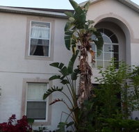 A Perfect Place to Stay - Orlando Tourists