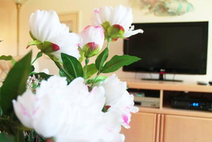 Best Kept Secret Westridge Condo