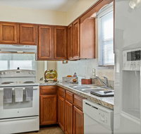 Blue Heron - Orlando Tourists