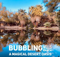Bubbling Wells Ranch - Orlando Tourists