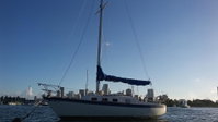 Classic Sailboat 30 Orlando Tourists