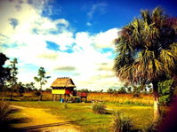 Booking Ochopee Orlando Tourists