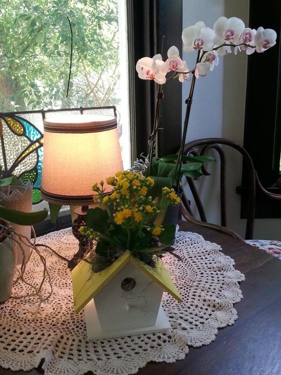 Historic Holle House Second Floor Space Sleeps Six - thumb 3