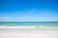 Ideal for Conference  J.W. Marriott / Access to Beach Orlando Tourists