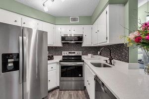 Modern Designer Inspired Fully Renovated Condo