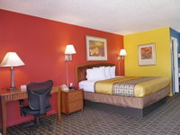 Booking Anson Orlando Tourists