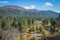 Booking Graeagle Orlando Tourists