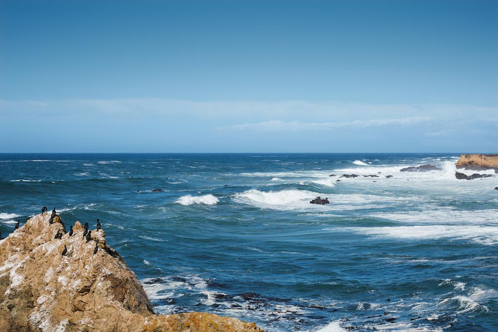 Ocean Breeze - thumb 1
