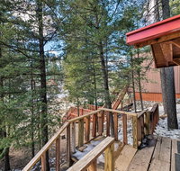 Pet Friendly Cloudcroft Cabin with Forest Views - Orlando Tourists