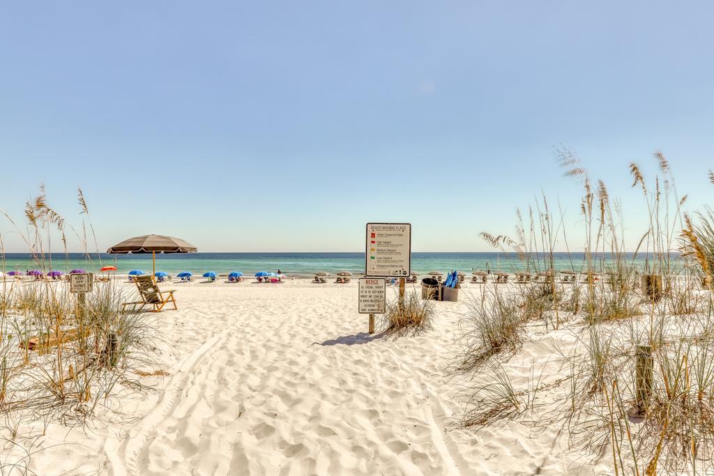 Sea Oats - thumb 3