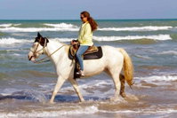 Seagull Condominiums by Padre Island Rentals Orlando Tourists