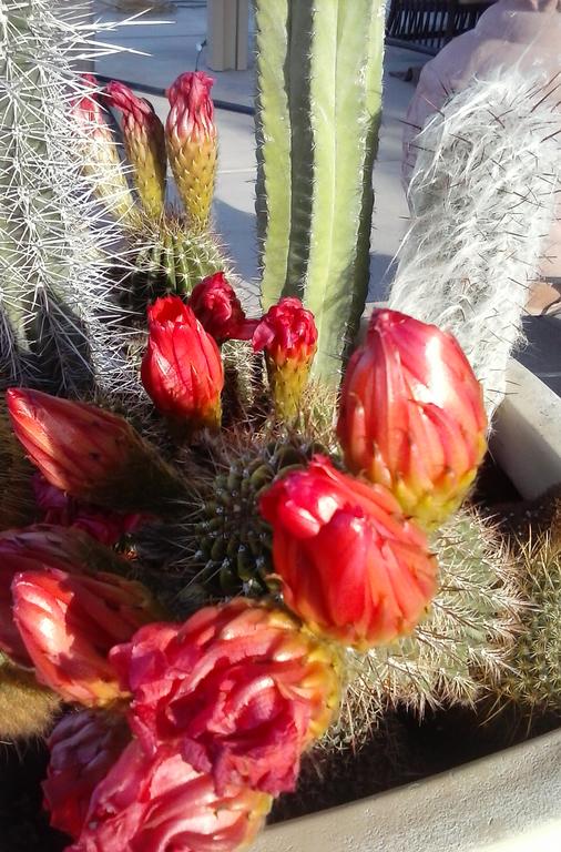 Sky Valley Resort - thumb 0