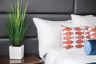 The Elmar Boutique Hotel Orlando Tourists