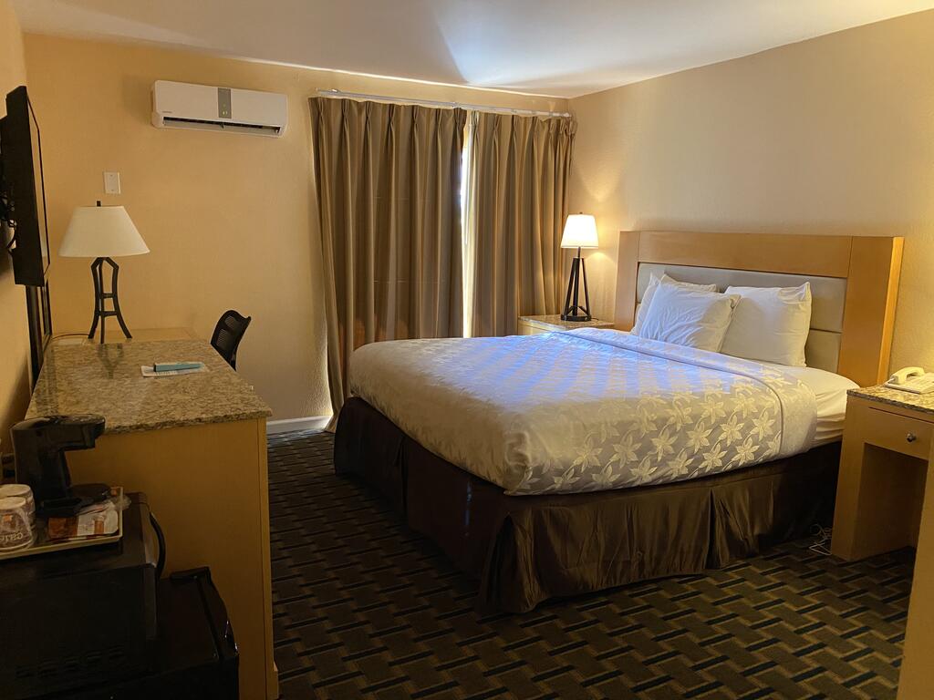 The Lemon Tree Hotel - thumb 1