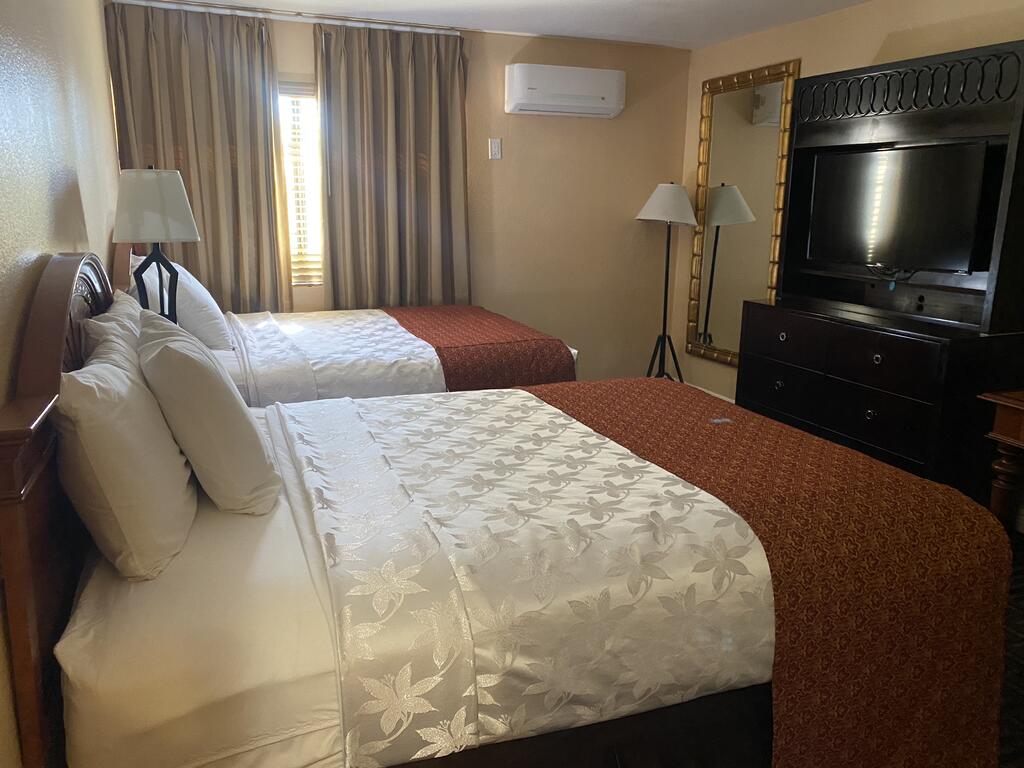 The Lemon Tree Hotel - thumb 2