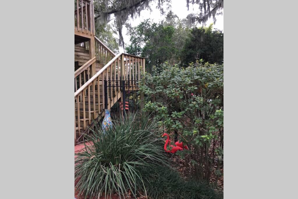 The Secret Garden Of Downtown Orlando - thumb 2