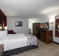 Red Roof Inn  Suites Dothan - Orlando Tourists
