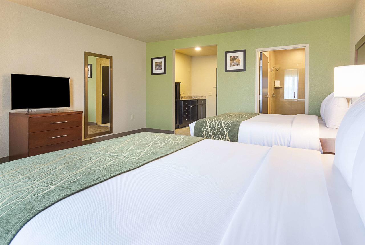 Comfort Inn Bentonville - thumb 8
