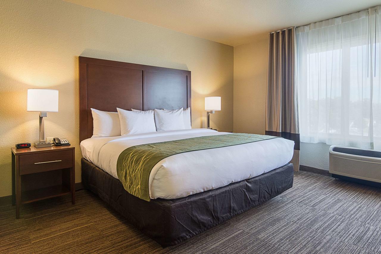 Comfort Inn Bentonville - thumb 6