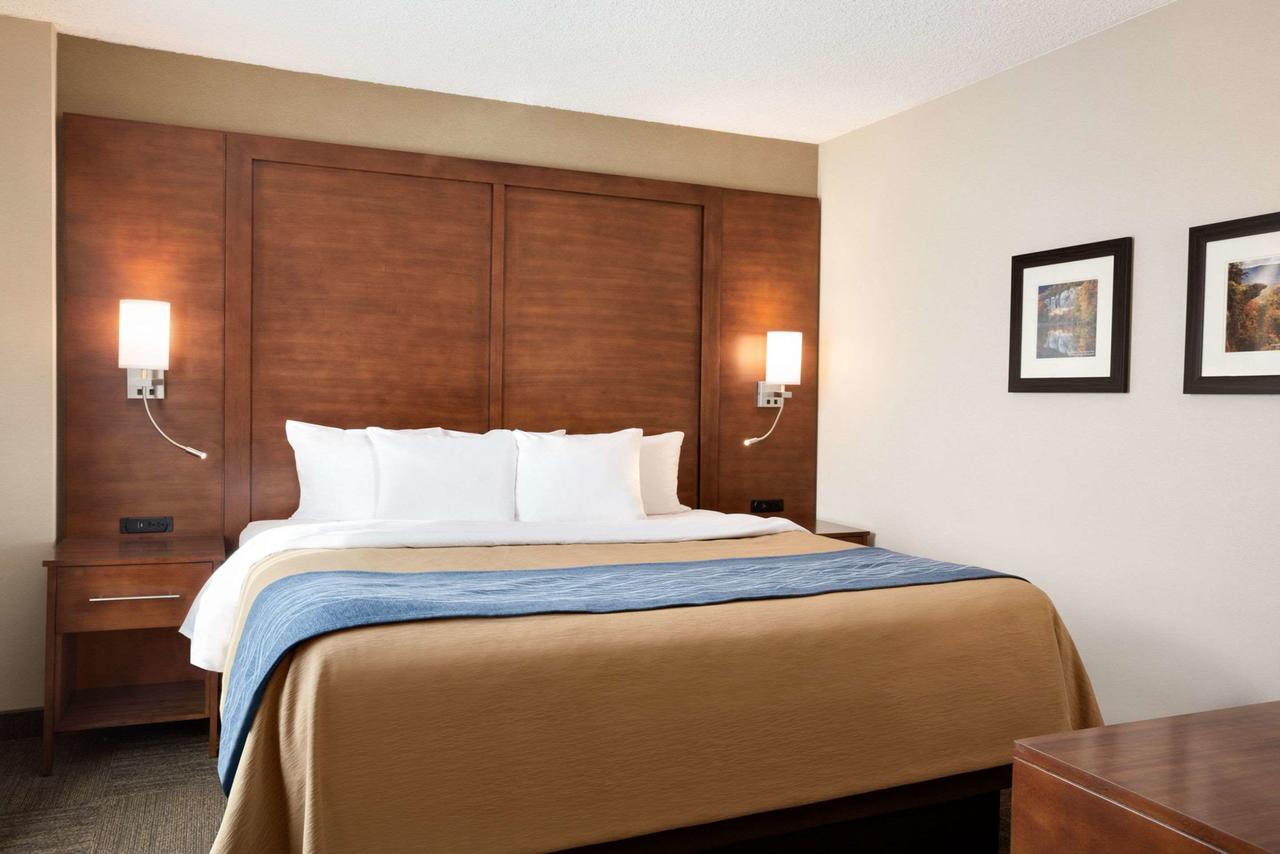 Comfort Inn & Suites Presidential - thumb 3