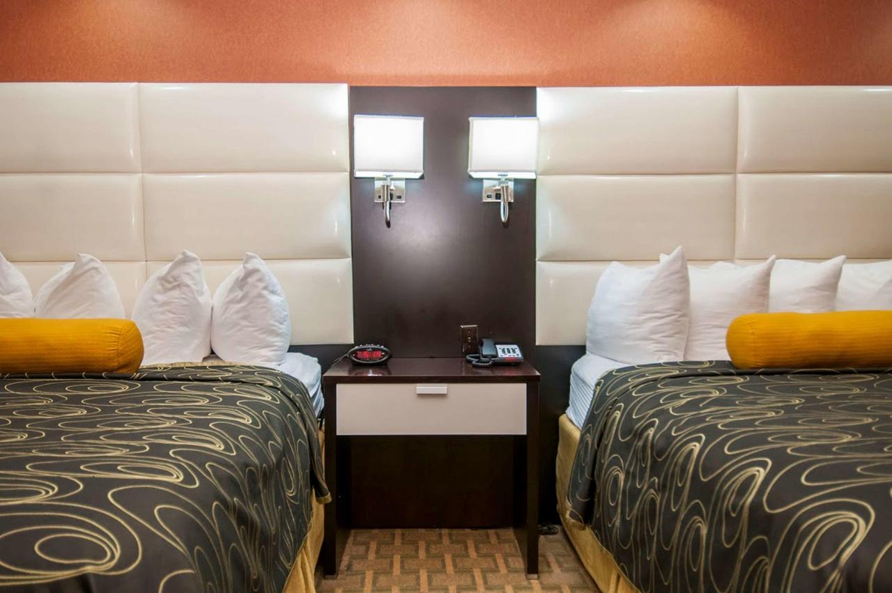 Best Western Plus JFK Inn & Suites - thumb 14