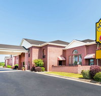 Super 8 by Wyndham Searcy AR - Orlando Tourists