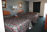 Booking Wynne Orlando Tourists