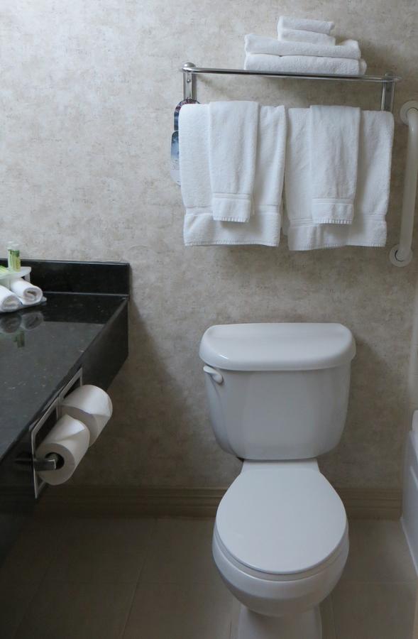 Holiday Inn Express Hotel & Suites Paragould - thumb 6