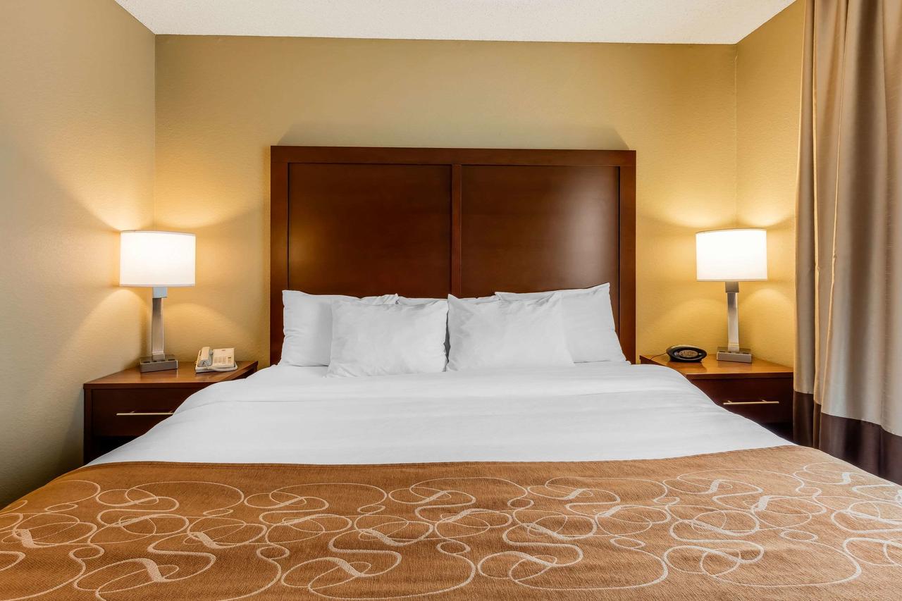 Comfort Suites Jonesboro University Area - thumb 13