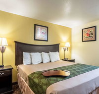 Econo Lodge Inn  Suites Searcy - Orlando Tourists
