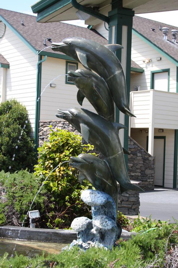 Emerald Dolphin Inn & Mini Golf - thumb 29