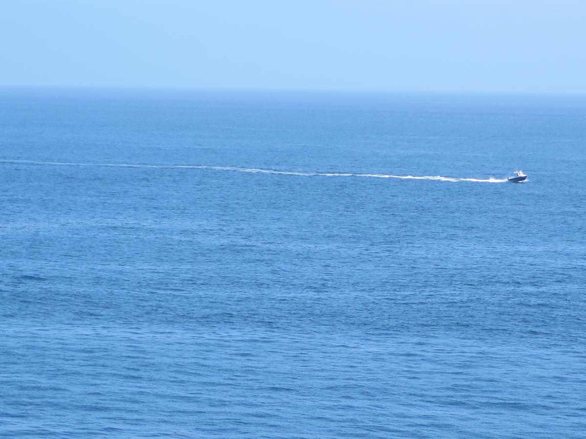 Art Hotel Laguna Beach, Trademark Collection By Wyndham - thumb 13