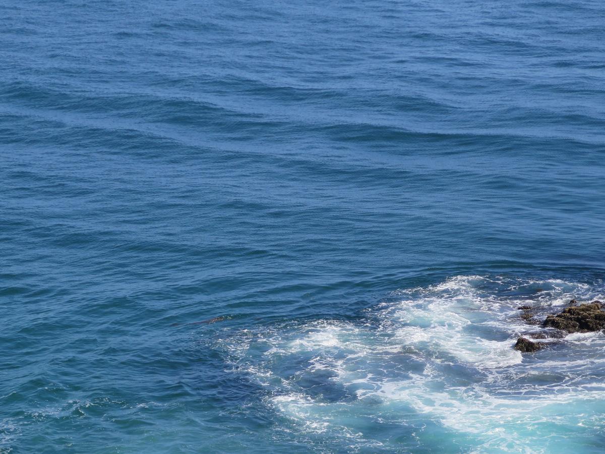 Art Hotel Laguna Beach, Trademark Collection By Wyndham - thumb 19