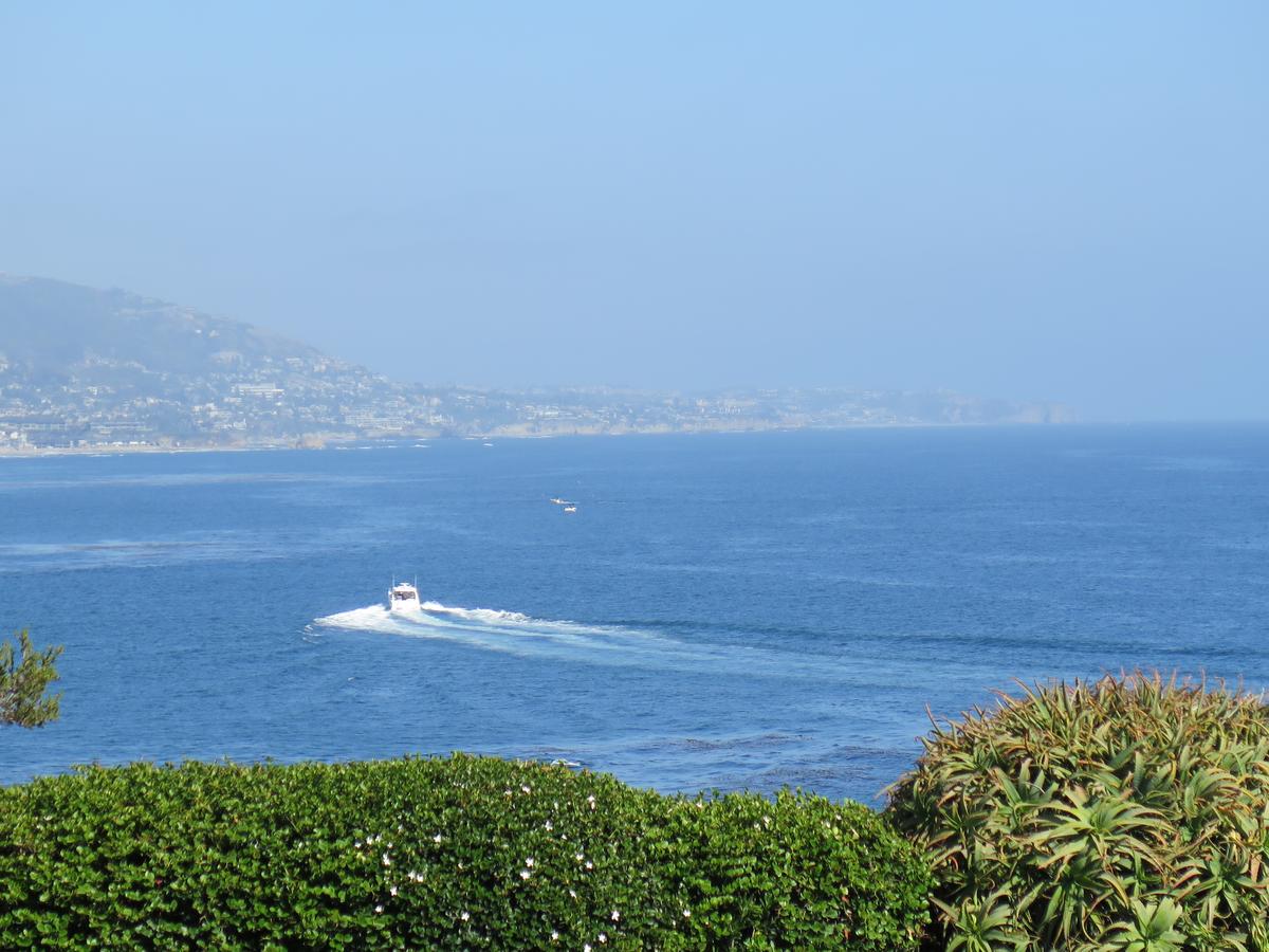 Art Hotel Laguna Beach, Trademark Collection By Wyndham - thumb 22