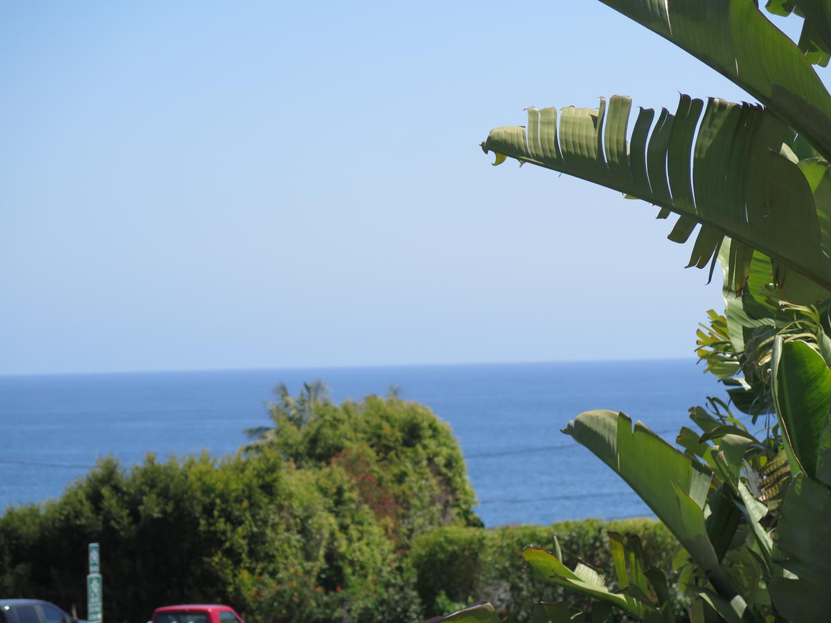 Art Hotel Laguna Beach, Trademark Collection By Wyndham - thumb 29