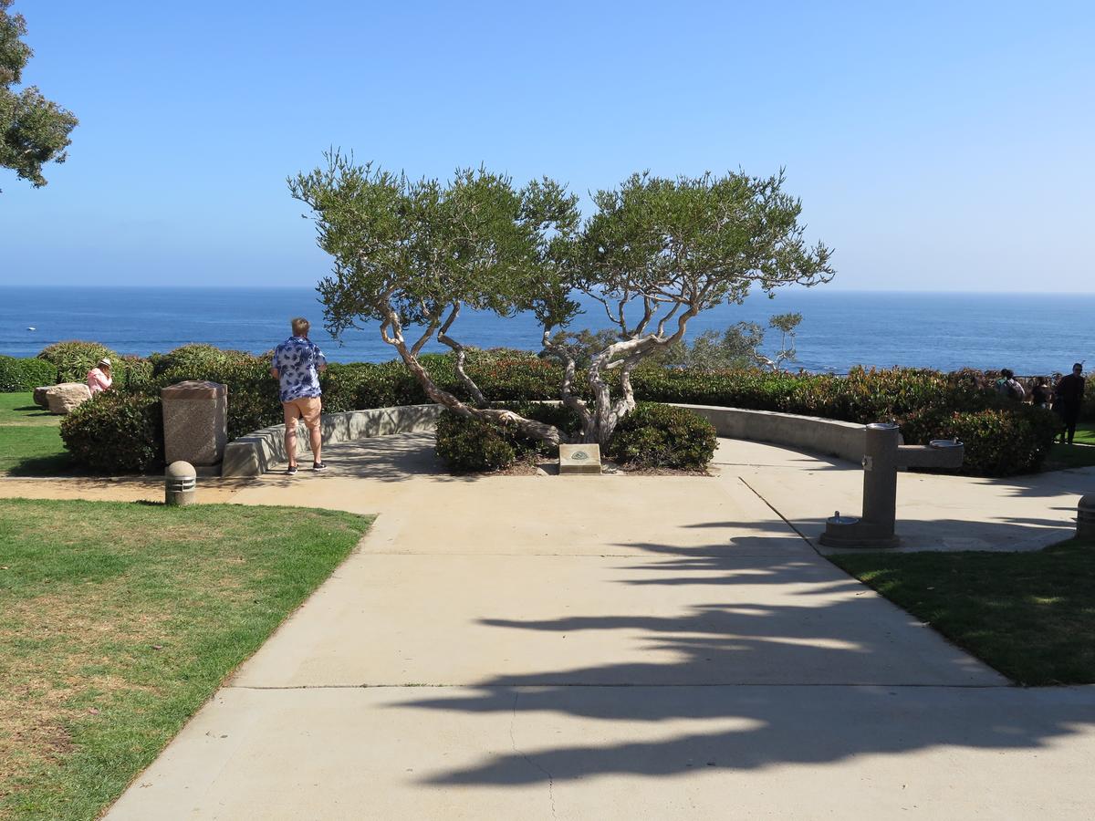 Art Hotel Laguna Beach, Trademark Collection By Wyndham - thumb 25