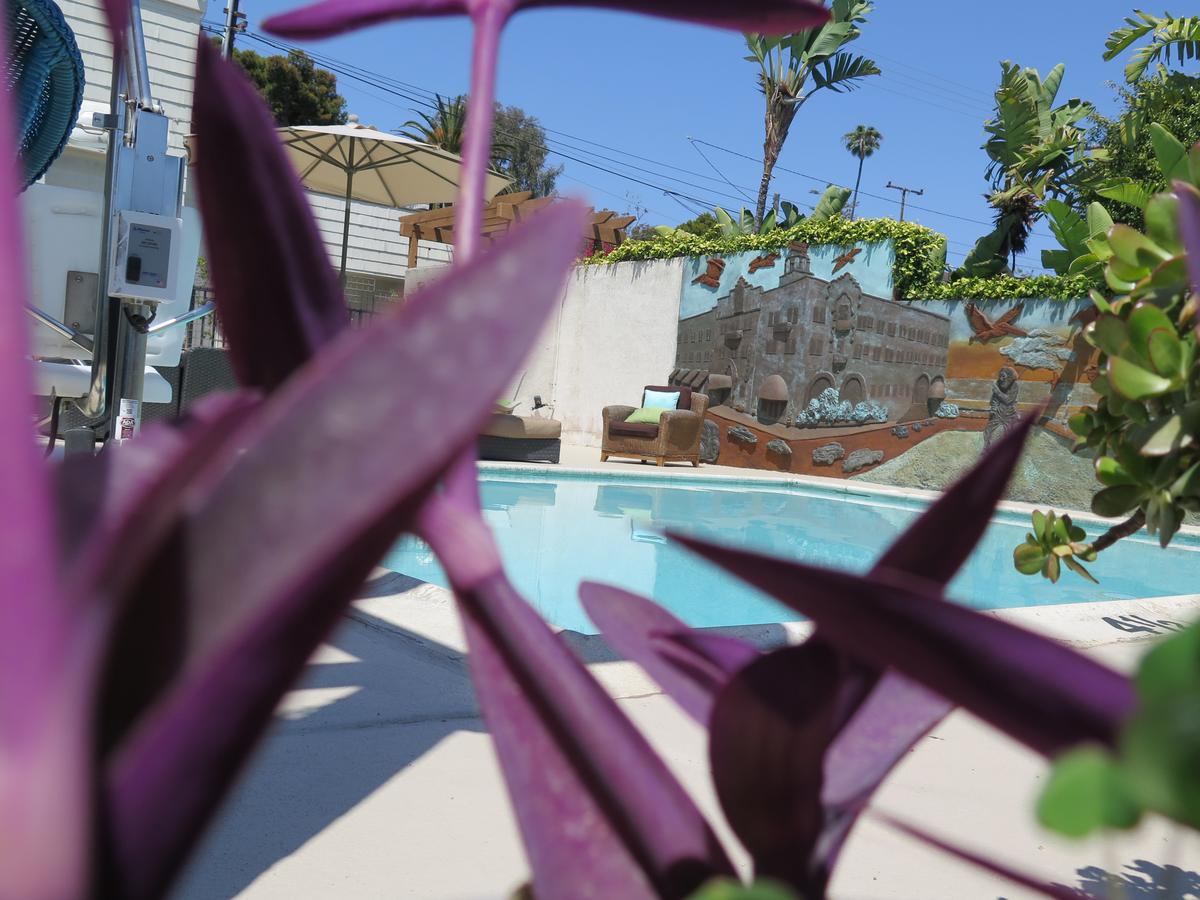 Art Hotel Laguna Beach, Trademark Collection By Wyndham - thumb 41