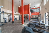 Amazing Apartments near the grove Orlando Tourists