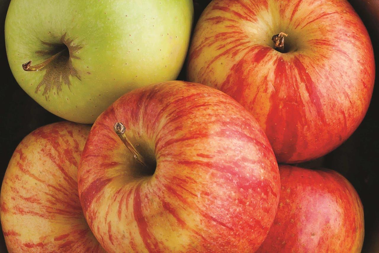 La Quinta Inn By Wyndham Steamboat Springs - thumb 39