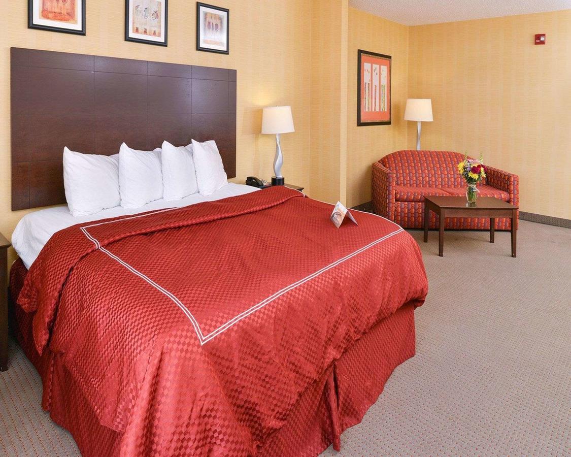 Quality Suites Stratford - thumb 7