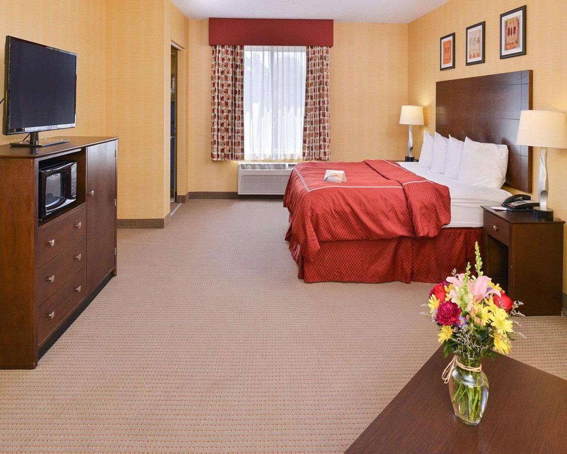 Quality Suites Stratford - thumb 16