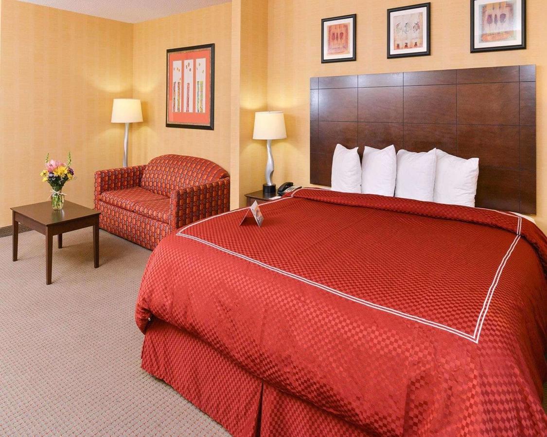 Quality Suites Stratford - thumb 20