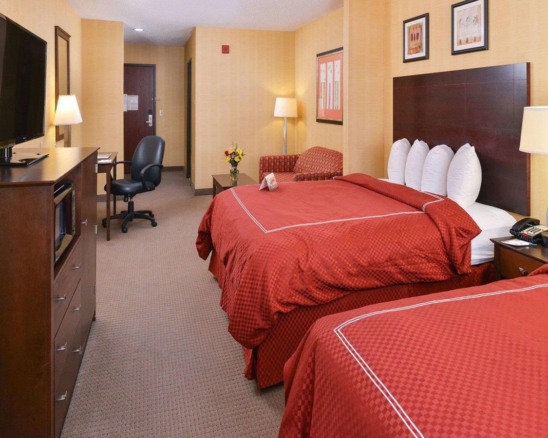 Quality Suites Stratford - thumb 10
