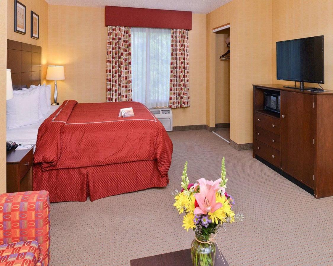 Quality Suites Stratford - thumb 29