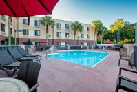 Booking Palm-coast Orlando Tourists