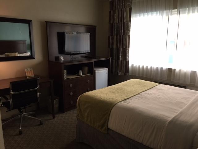 Palm Pavilion Inn - thumb 3
