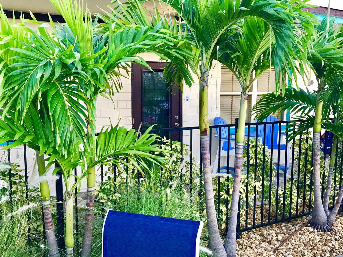Island Cay At Clearwater Beach - thumb 20